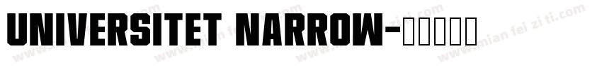 Universitet Narrow字体转换